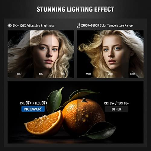 NEEWER CB60B 70W LED Video Light with 2.4G&APP Control, COB Bi Color