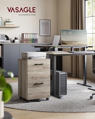 VASAGLE 2-Drawer File Cabinet, Small Rolling Filing Cabinet
