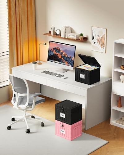 Oterri Lockable Plastic File Box with Lid for Letter-Size | Hanging File Folders Not Included. Black, Large 1-Pack. Home, Office, Classroom, Dorm, Tax, Under Bed, Filing Cabinet.