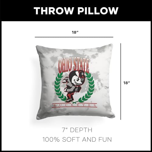 Northwest NCAA Ohio State Buckeyes Hipster Double-Sided Printed Throw Pillow, Soft Decorative Polyester Fan Cushion, Couch Bed or Game Room Decor, 18 x 18 in