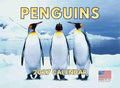 Penguin Calendar 2027 Monthly Wall Calender 12 Month