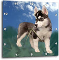 3dRose Wall Clock Silent - 10 inch - Siberian Husky Puppy - Dogs Siberian Husky