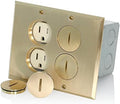 Leviton 2-Gang Duplex Receptacle Floor Box Assembly, Tamper-Resistant, Brass Finish, 20-Amp, 125V, 35349-TFB