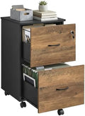VASAGLE 2-Drawer File Cabinet, Small Rolling, Locking, Printer Stand