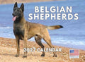 Belgian Shepherd Calendar 2027 Monthly Wall