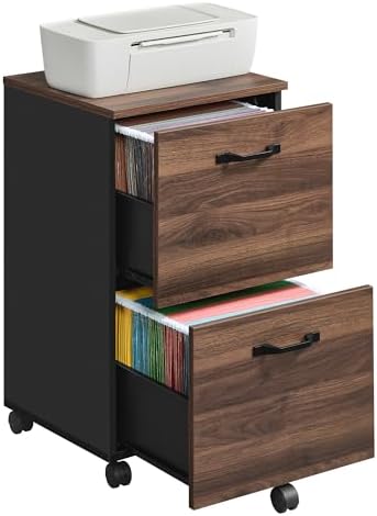 VASAGLE 2-Drawer File Cabinet, Small Rolling Filing Cabinet