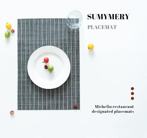 Placemats Set of 6 Vinyl/Plastic Woven Place Mats for Kitchen Table Indoor/Outdoor Washable Placemat Wipeable Dining Table Mats (Black Stripes,6)