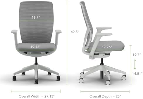 HON Flexion Ergonomic Office Chair, Lumbar Support, Office Desk, Darkness