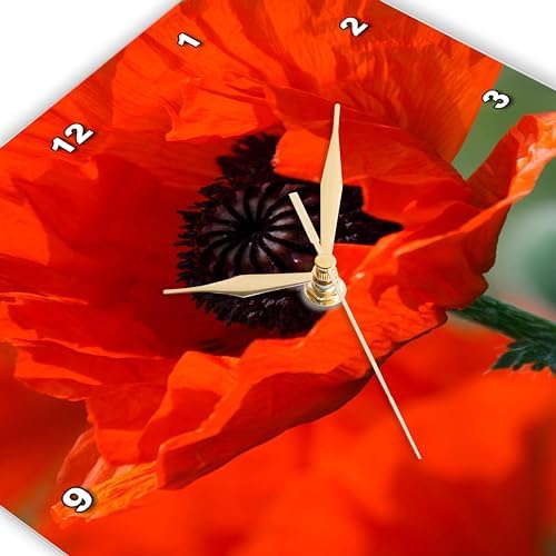 3dRose dpp_29205_1 Beautiful Red Poppy-Wall Clock, 10 by 10-Inch
