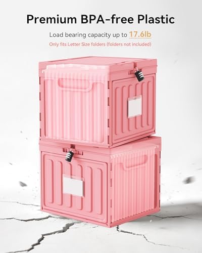 Oterri Lockable Plastic File Box with Lid for Letter-Size | Hanging File Folders Not Included. Pink, Large 1-Pack. Home, Office, Classroom, Dorm, Tax, Under Bed, Filing Cabinet.