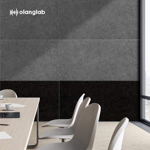 Olanglab Acoustic Wall Panels, 10 Pack, 48" x 24", Plain Dark Gray