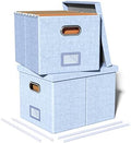 Oterri 2 Pack File Storage Organizer, Filing Box, Portable File Box with Lid, Fit for Letter/Legal File Folder Storage, Document Organizer, Sky-blue