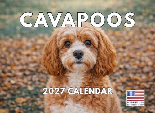 Cavapoo Calendar 2027 Monthly Wall Calender 12 Month