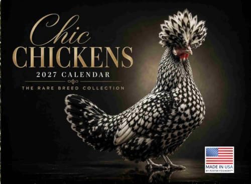 Chic Chicken Calendar 2027 Wall Monthly Beautiful Exotic Breeds Calender 12 Month | American Made In The USA