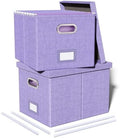 Oterri 2 Pack File Storage Organizer, Filing Box, Portable File Box with Lid, Fit for Letter/Legal File Folder Storage, Document Organizer, Lavender