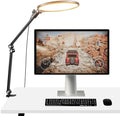 NEEWER Basics 10.5" Streaming Key Lighting, 3000-6500K 15W Full Screen LED Panel Ring Light with Adjustable Arm Stand Desk Clamp Timer for Laptop Computer Video Conference Zoom Makeup, R10