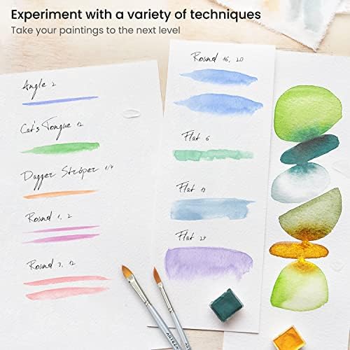ARTEZA Watercolor Brushes, Set of 12, Synthetic Hair, Assorted Shapes
