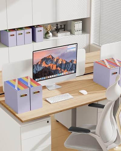 Oterri Portable Collapsible Cardboard File Box with Handle for Letter-Size | 6-Pack. Stainless Steel Handle. Label Stickers Included. Fits Letter Folders (Not Included). Home, Office, School, Dorm, Tax.