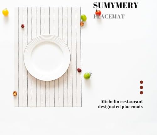 Placemats Set of 12 Vinyl/Plastic Woven Place Mats for Kitchen Table Indoor/Outdoor Washable Placemat Wipeable Dining Table Mats (White Stripes,12)