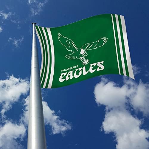 NFL Rico Industries Standard 3' x 5' Banner Flag Single Sided - Indoor or Outdoor - Home Décor