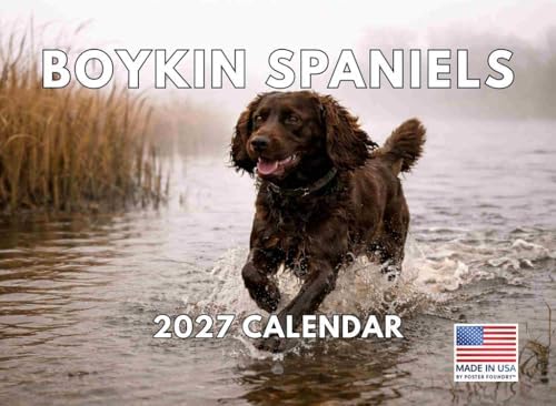 Boykin Spaniel Dog Calendar 2027 Monthly Wall