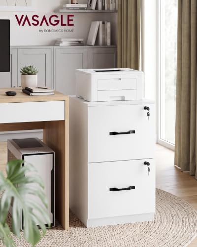 VASAGLE 2 Drawer File Cabinet with Locks, for A4, Letter Sized Documents