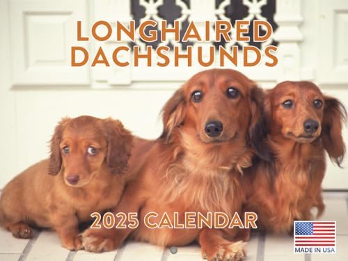 Long Haired Dachshund Calendar 2027 Longhaired Monthly Wall Calender 12 Month
