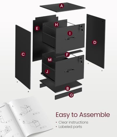 VASAGLE 2 Drawer File Cabinet with Locks, for A4, Letter Sized Documents