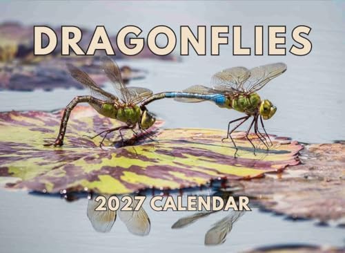 Dragonfly Calendar 2027 Monthly Wall Calender 12 Month