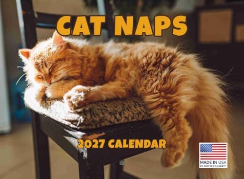 Cat Naps Calendar 2027 Monthly Wall Calender 12 Month