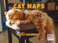 Cat Naps Calendar 2027 Monthly Wall Calender 12 Month