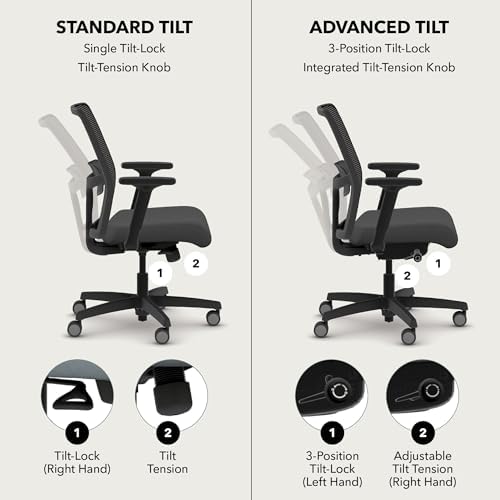 HON Ignition 2.0 Low Back Ergonomic Office Chair, Desk Chair, Salamander