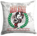 Northwest NCAA Ohio State Buckeyes Hipster Double-Sided Printed Throw Pillow, Soft Decorative Polyester Fan Cushion, Couch Bed or Game Room Decor, 18 x 18 in