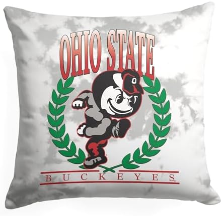 Northwest NCAA Ohio State Buckeyes Hipster Double-Sided Printed Throw Pillow, Soft Decorative Polyester Fan Cushion, Couch Bed or Game Room Decor, 18 x 18 in