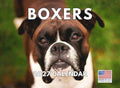 Boxer Calendar 2027 Monthly Wall Calender 12 Month