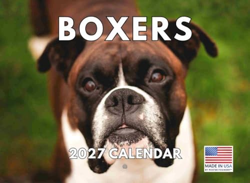Boxer Calendar 2027 Monthly Wall Calender 12 Month