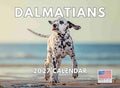 Dalmatian Calendar 2027 Monthly Wall Calender 12 Month