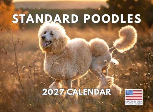 Standard Poodle Calendar 2027 Monthly Wall Calender 12 Month