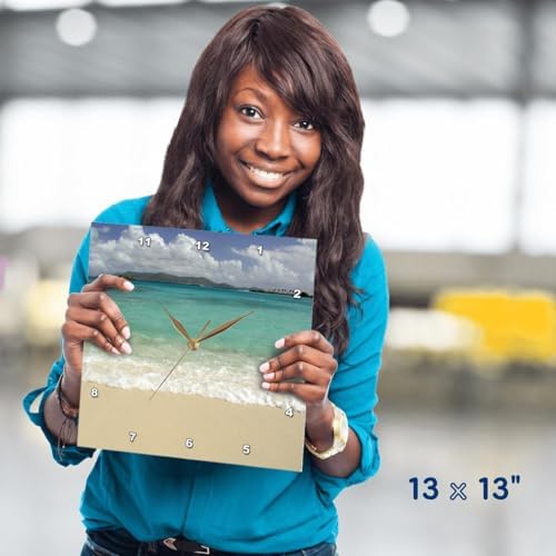 3dRose Wall Clock Silent - 13 inch - USVI, St.Thomas, St. John Bay, Sapphire Beach-CA37 CMI0040 - Cindy Miller Hopkins - Beaches