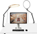 NEEWER Basics 2 Pack 10.5" Streaming Key Lighting, 3000-6500K 15W Full Screen LED Panel Ring Light with Adjustable Arm Stand Desk Clamp Timer for Laptop Computer Video Conference Zoom Makeup, R10