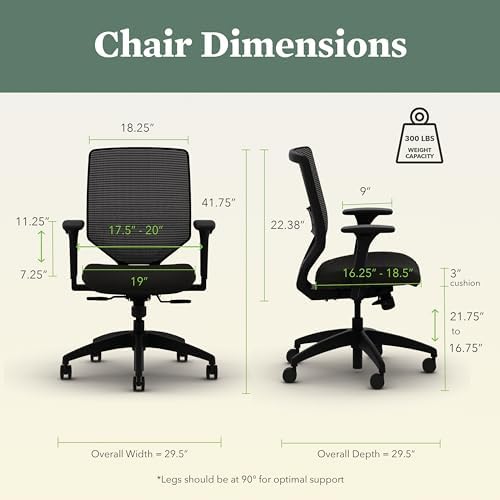 HON Solve Ergonomic Office Chair, Lumbar Support, Desk Chair, Black