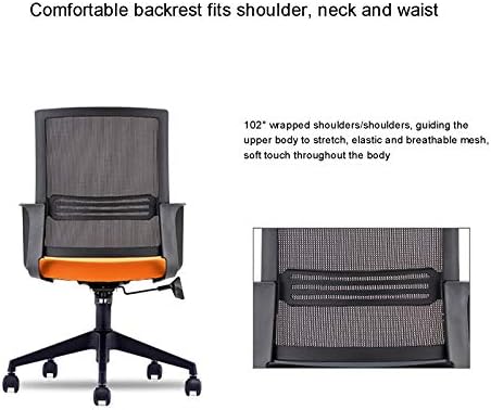 Home Office Chair with Mid-Back Rotating Waist Support Desk Task Computer Chair Ergonomic Comfortable Mesh Armchair (B)