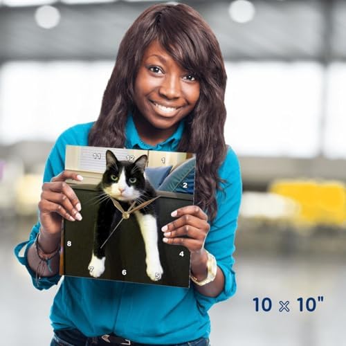 3dRose LLC Wall Clock Silent - 10 inch - Black and White Cat with Nothing to Do - Animals