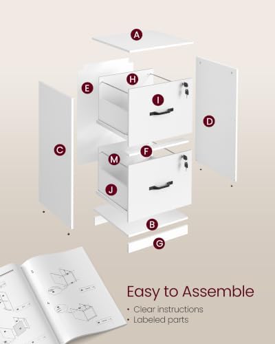 VASAGLE 2 Drawer File Cabinet with Locks, for A4, Letter Sized Documents