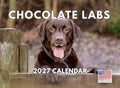 Chocolate Lab Calendar 2027 Labrador Retriever Monthly Wall Calender 12 Month