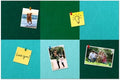 Square Felt Cork Bulletin Board Tiles, Self Adhesive DIY Felt Pin Board for Wall 30" x 20" with 35 Pushpins for Office School Home Wall Decor Stickers Memos Photos Display (Gradual Green)