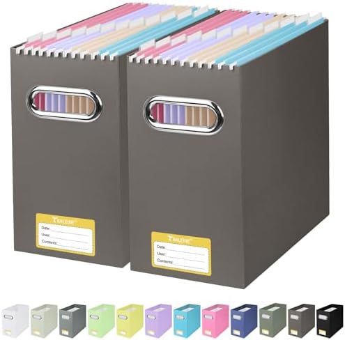 BALEINE File Organizer Box, Cardboard File Folder Organizer with Handle for Letter Size, Portable Collapsible Hanging Filing Box for Home Office Document Storage (2 Pack, Brown)