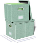 2 Pack File Storage Organizer, Filing Box, Portable File Box with Lid, Fit for Letter/Legal File Folder Storage, Document Organizer, Green