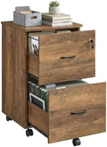 VASAGLE 2-Drawer File Cabinet, Small Rolling, Locking, Printer Stand