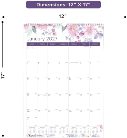 Blueline® 2027 Colorful Monthly Wall Calendar, 12 Months, January to December, Gold Twin-Wire Binding, 12" x 17", Passion (C173126)